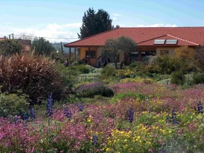 גינות לגלריה 3